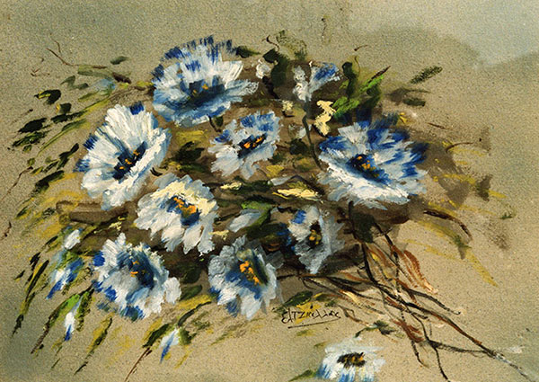 47-galazies-anemones
